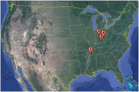 clash添加单个节点